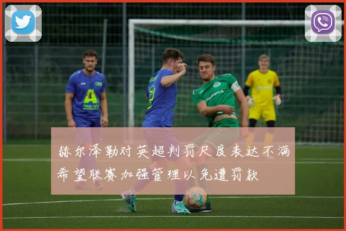 赫尔泽勒对英超判罚尺度表达不满希望联赛加强管理以免遭罚款