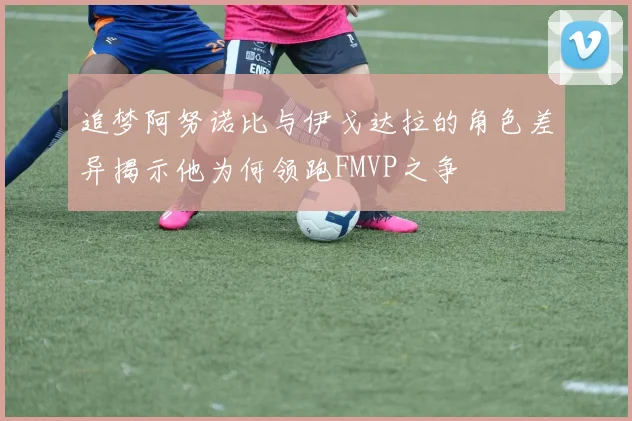 追梦阿努诺比与伊戈达拉的角色差异揭示他为何领跑FMVP之争