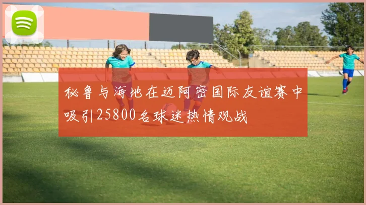 秘鲁与海地在迈阿密国际友谊赛中吸引25800名球迷热情观战